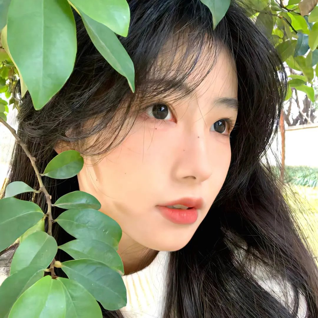 大口仔征西